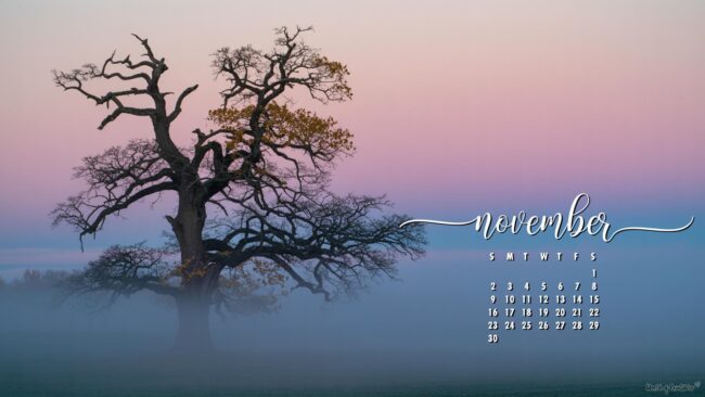 beautiful-november-2025-calendar-wallpaper-for-computer