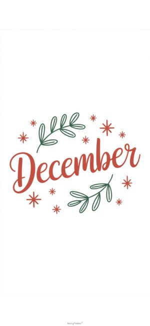 botancical-cozy-december-background-phone