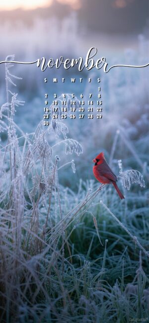 cardinal-november-calendar-wallpaper-2025-for-phone