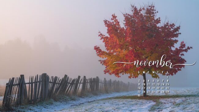 cold-morning-free-november-2025-desktop-calendar-wallpaper