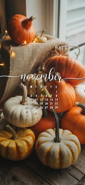 cute-aesthetic-november-calendar-phone-wallpaper