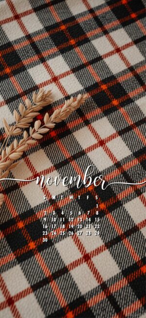 cute-gingham-aesthetic-november-calendar-phone-wallpaper