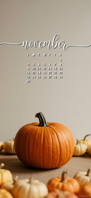 cute-pumpkin-aesthetic-november-calendar-phone-wallpape