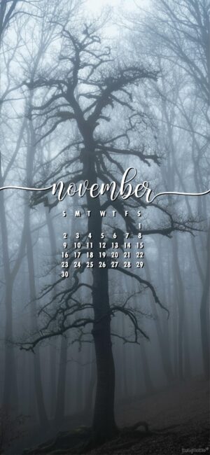 dark-winter-free-november-calendar-wallpaper-phone