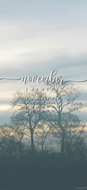 elegant-skies-november-calendar-phone-wallpaper