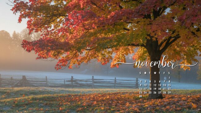 fall-november-2025-calendar-wallpaper-for-computer