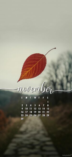 falling-leaf-november-calendar-android-wallpaper-2025