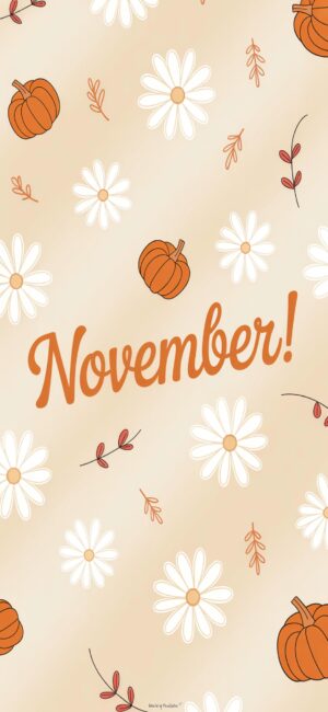 flower-and-pumpkin-november-hd-android-wallpaper