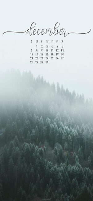 foggy-trees-december-wallpaper-phone-calendar-4k