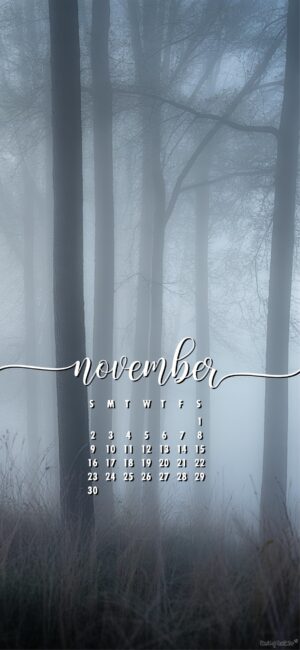 forest-free-november-calendar-wallpaper-phone