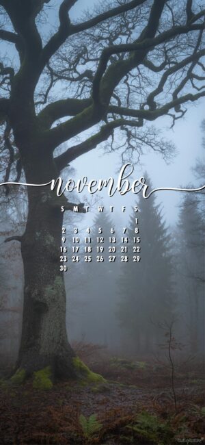 forest-november-2025-calendar-wallpaper-mobile