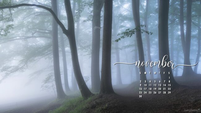 forest-november-calendar-wallpaper-hd-desktop