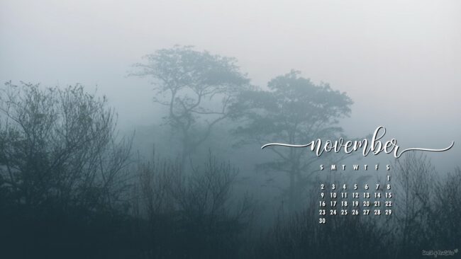frosty-minimalist-november-calendar-wallpaper-desktop