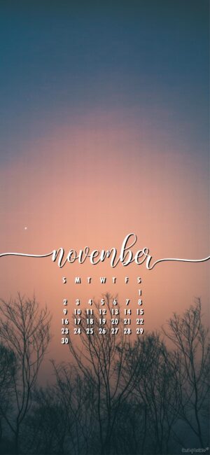 gradient-minimalist-november-calendar-phone-wallpaper