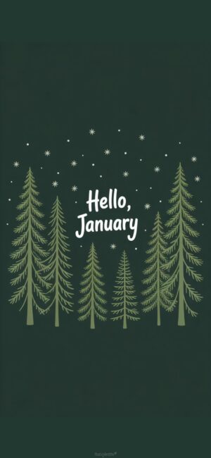 hello-january-forest-hd-january-phone-wallpaper