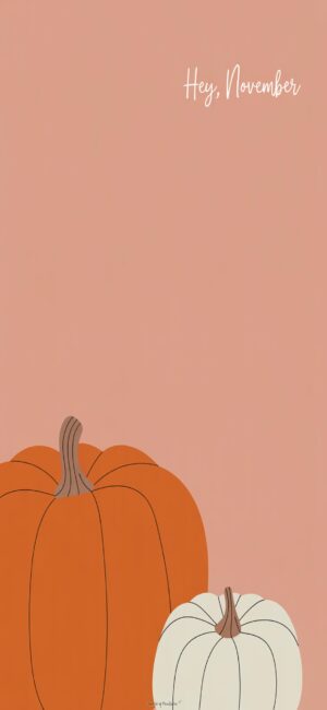 minimalist-pumpkin-november-hd-iphone-wallpaper