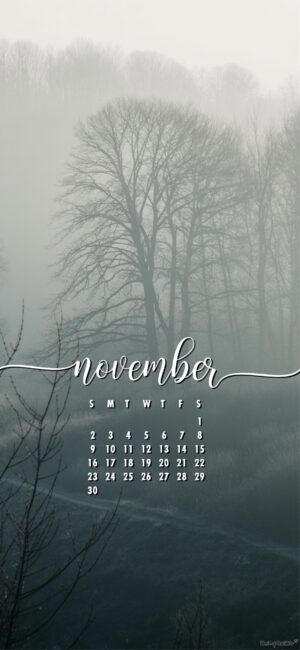 misty-trees-november-calendar-wallpaper-2025-for-phone