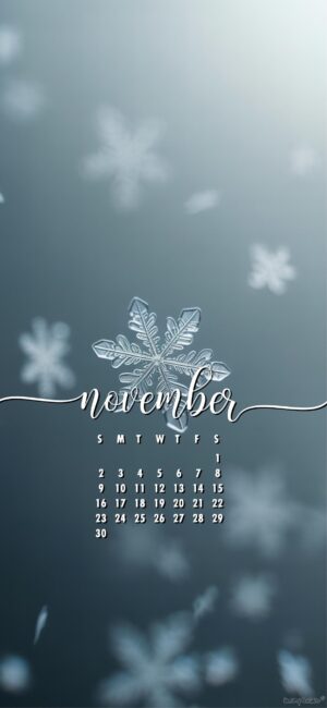 modern-november-calendar-wallpaper-phone-snowflakes