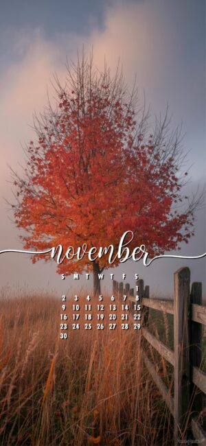 pretty-tree-november-calendar-phone-wallpaper