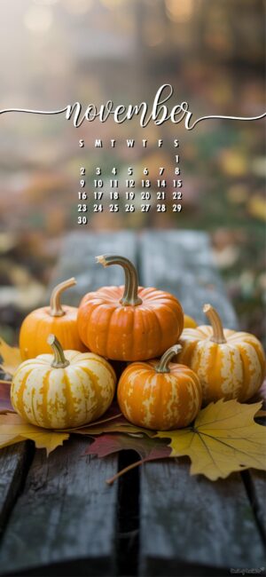 pumpkin-november-calendar-wallpaper-hd-phone