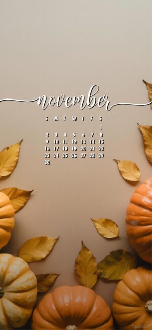 pumpkin-pretty-november-calendar-phone-wallpaper