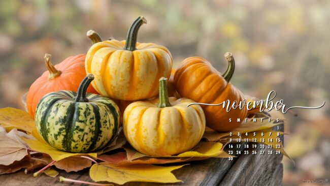 pumpkins-cute-aesthetic-november-calendar-wallpaper-desktop