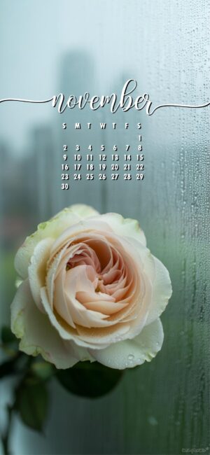 rose-elegant-november-calendar-phone-wallpaper