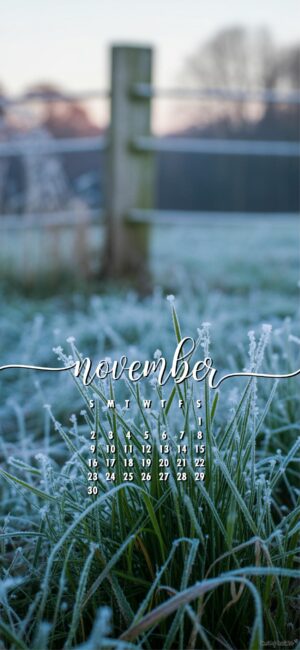 scenic-aesthetic-november-calendar-phone-wallpaper