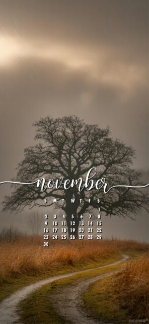 scenic-path-november-calendar-wallpaper-2025-for-phone
