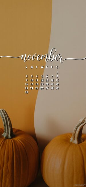 simple-and-cute-november-calendar-wallpaper-for-phone
