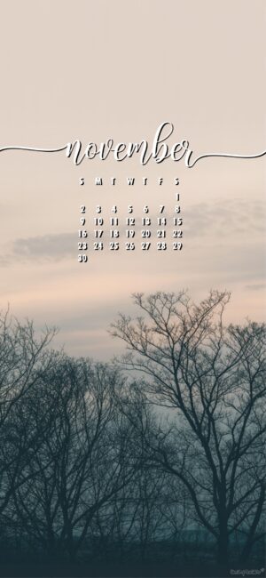 simple-and-elegant-november-calendar-phone-wallpaper