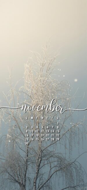 simple-snow-november-calendar-wallpaper-for-phone