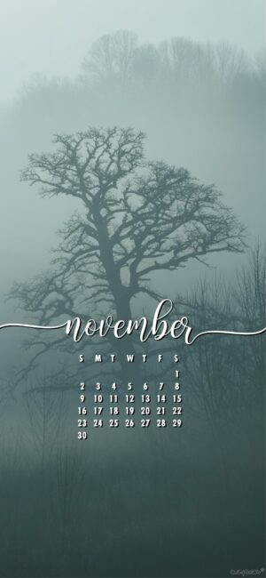 spooky-aesthetic-november-calendar-phone-wallpaper