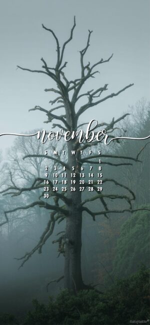 spooky-tree-november-2025-calendar-phone-wallpaper