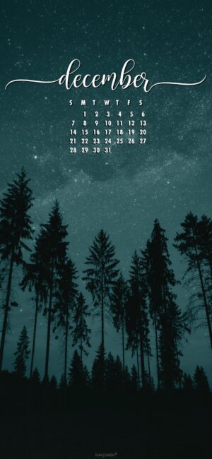 starry-sky-pretty-december-phone-calendar-wallpaper