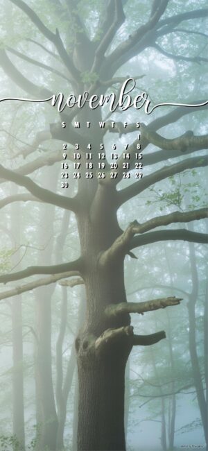 tree-aesthetic-free-november-calendar-mobile-wallpaper
