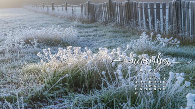 winter-aesthetic-november-calendar-desktop-wallpaper