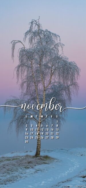 winter-tree-pretty-november-calendar-phone-wallpaper