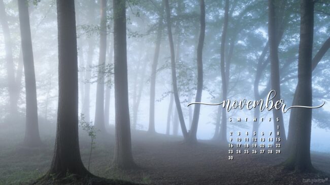 woodland-november-calendar-wallpaper-hd-desktop