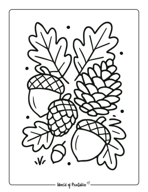 Acorns and Pine Cones Easy Thanksgiving Coloring Page
