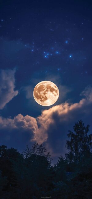 Full Moon Halloween backgrounds for phone