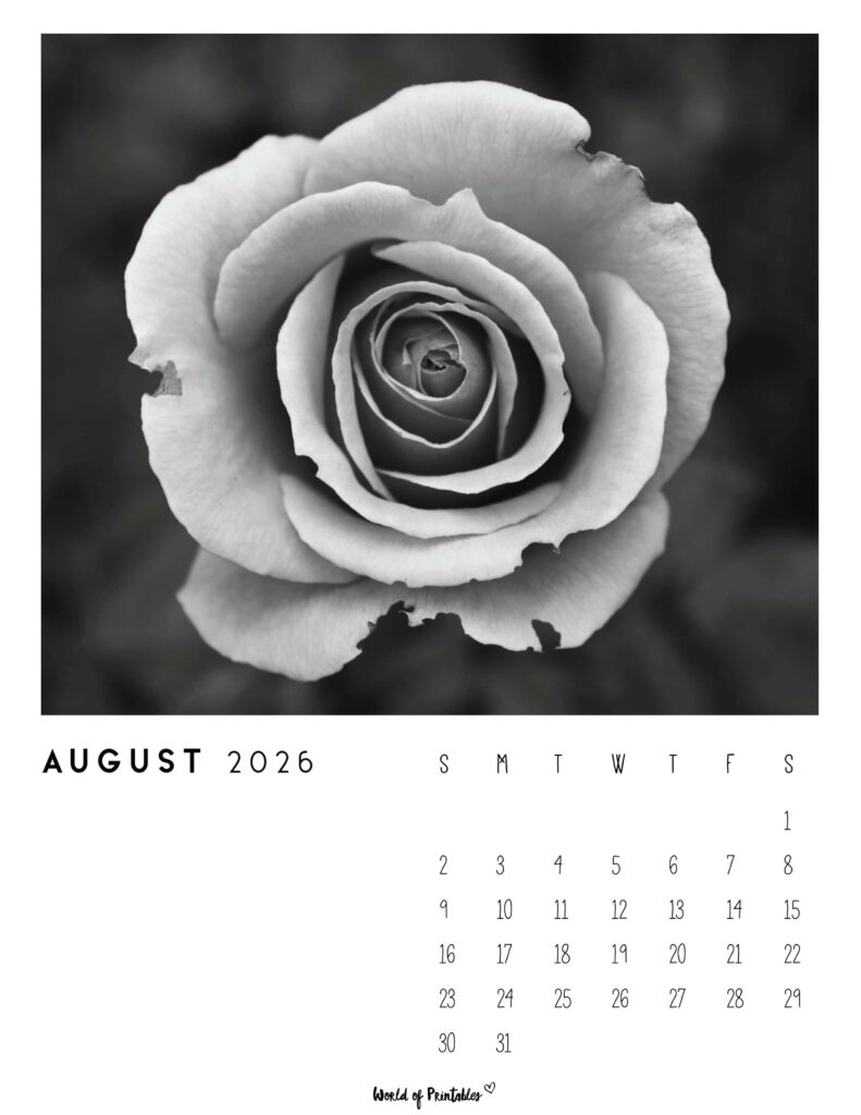 Printable August 2026 Calendar Design 56