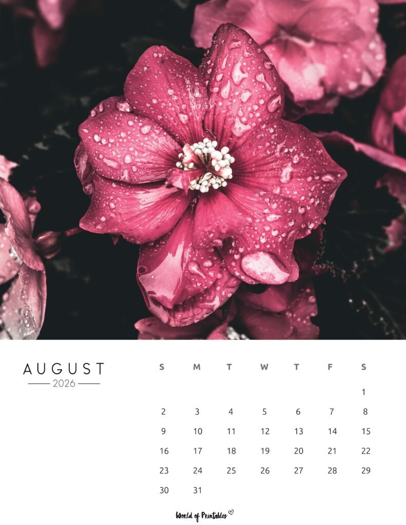 Printable August 2026 Calendar Design 57