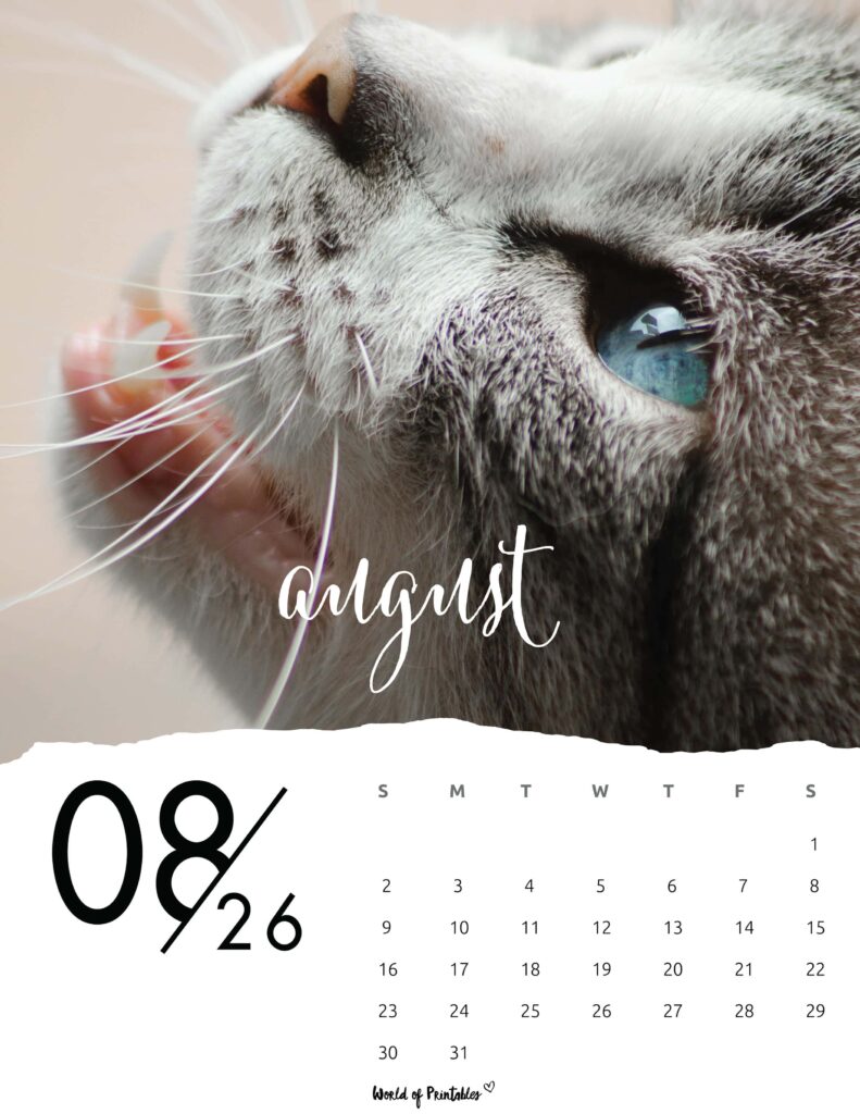 Printable August 2026 Calendar Design 59