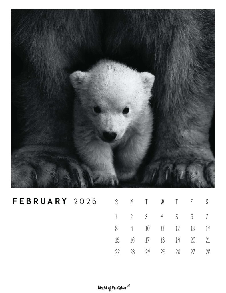 Printable February 2026 Calendar Design 56