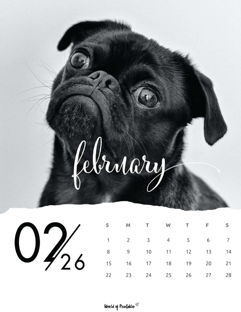 Printable February 2026 Calendar Design 59
