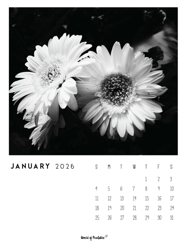 Printable January 2026 Calendar Design 56