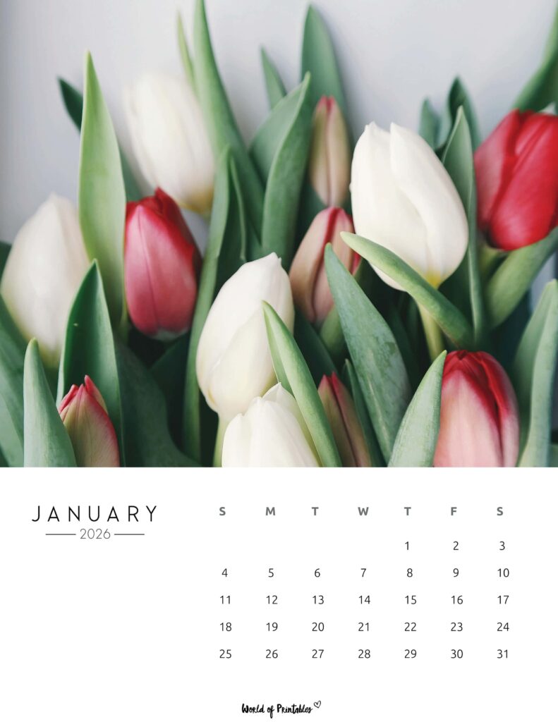 Printable January 2026 Calendar Design 57