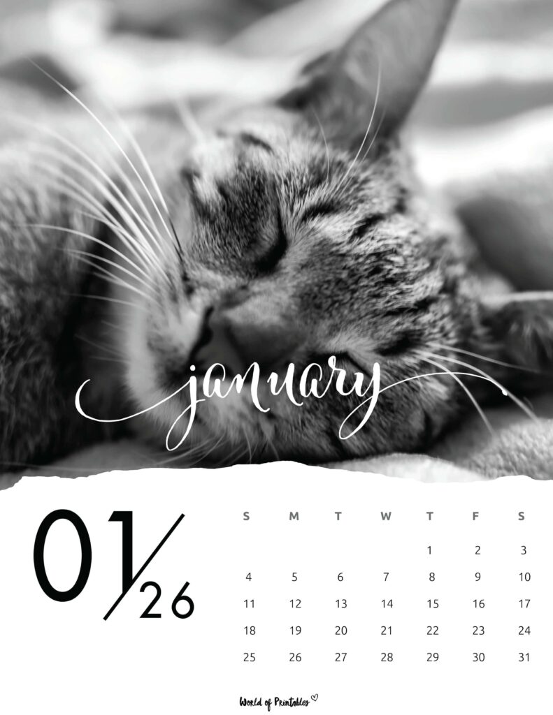 Printable January 2026 Calendar Design 59