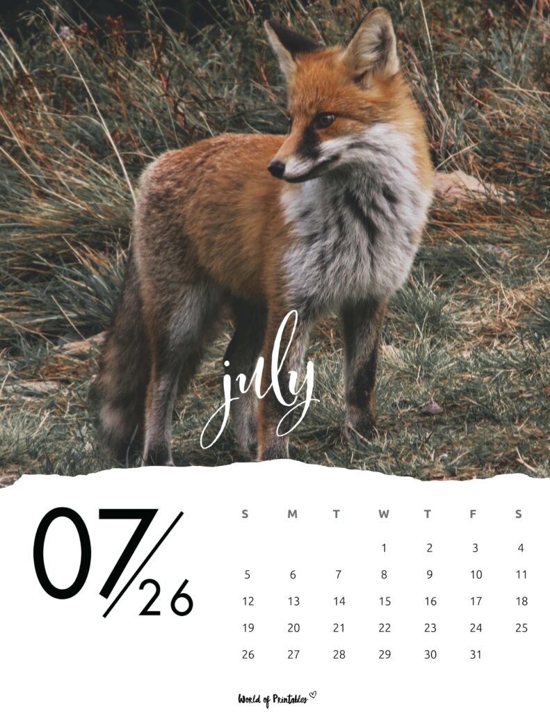 Printable July 2026 Calendar Design 59